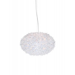 BLOOM MEDIUM