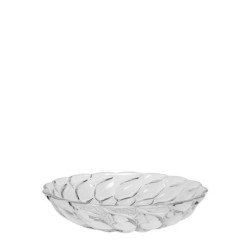 JELLIES FAMILY - Lot de 4...